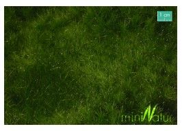 Silhouette 621-32G - Auenwiese lang / Fertileplain meadow 60x50cm Sommer / summer | Modellbahn | Modelleisenbahn